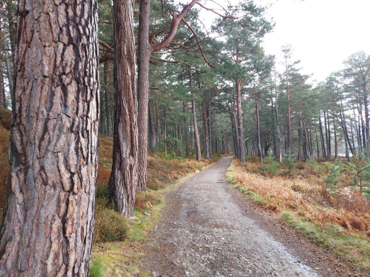 Holiday House Kinveachy Aviemore Bagian luar foto
