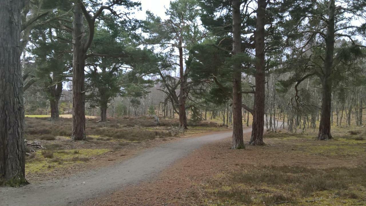 Holiday House Kinveachy Aviemore Bagian luar foto
